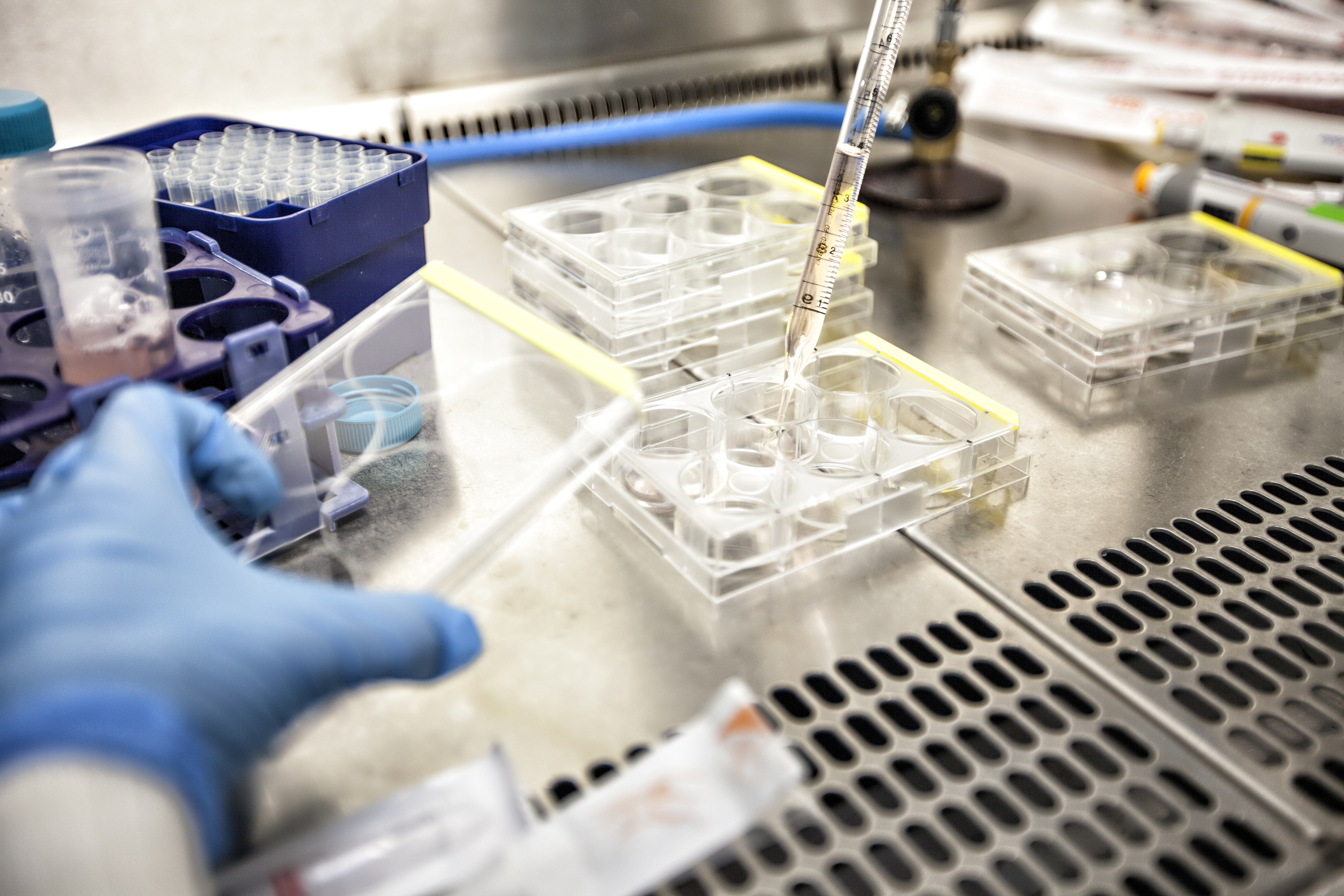 Depiction of lab experiment.