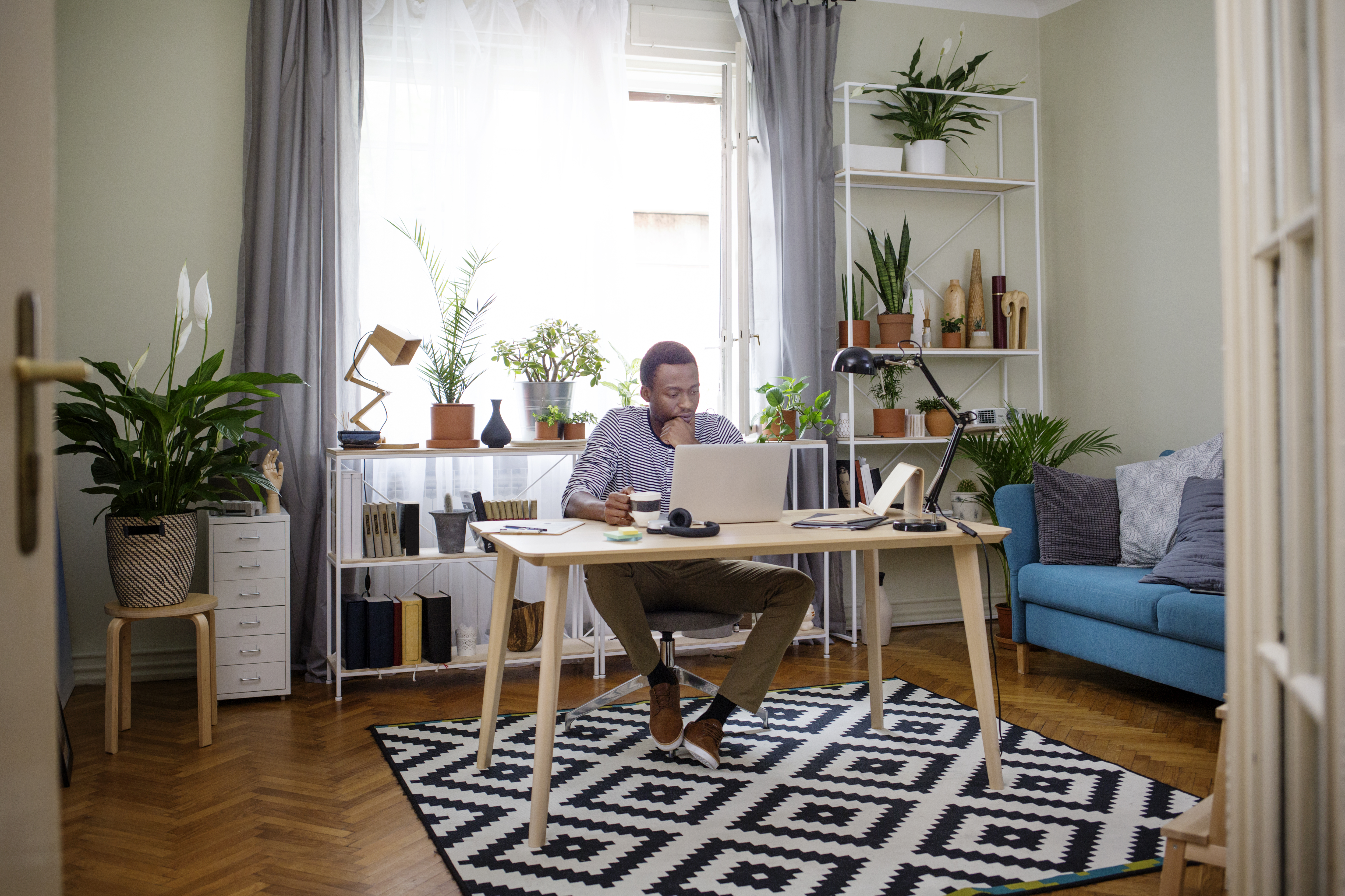 Portrayal of Capella online student.