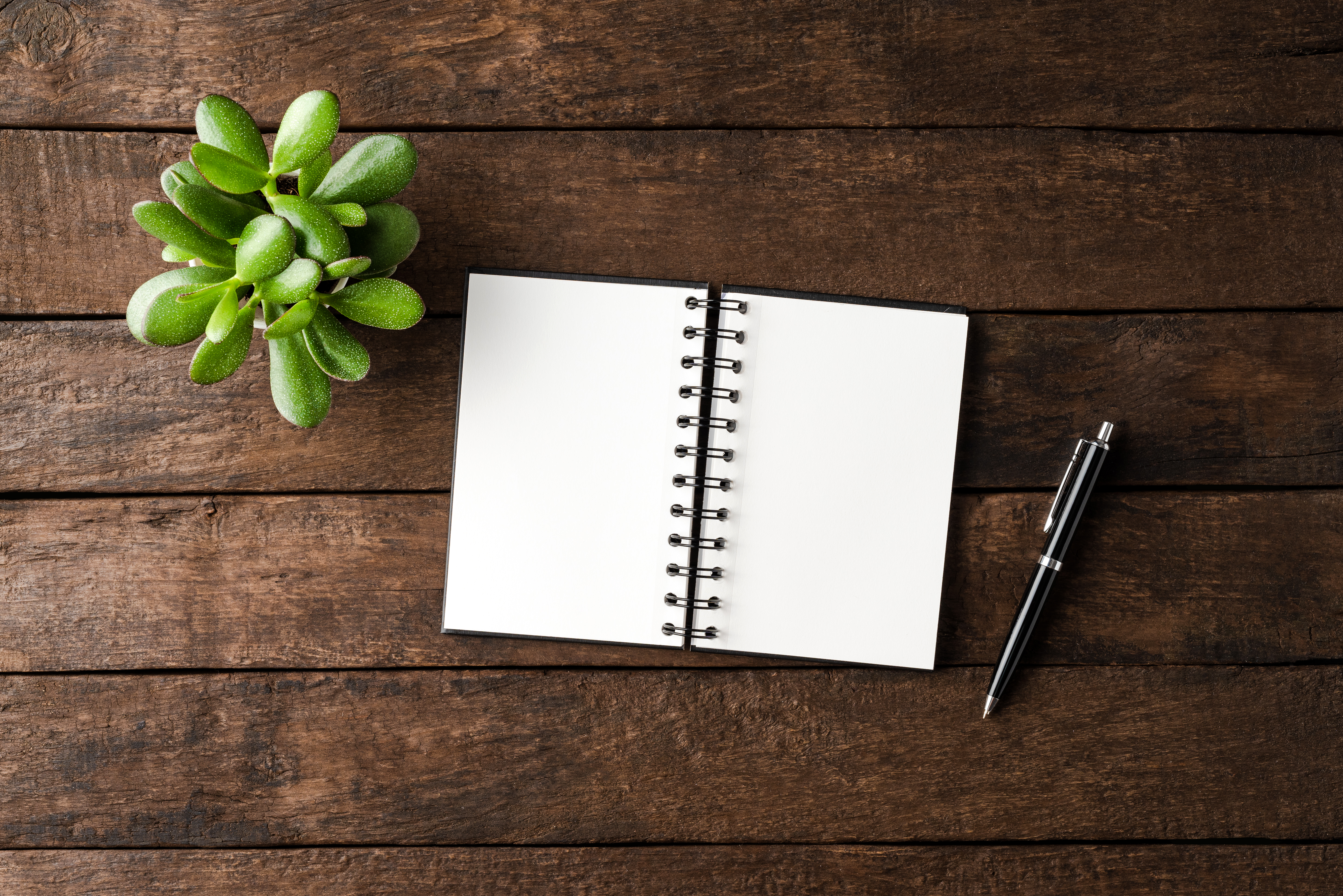 Notebook with pen