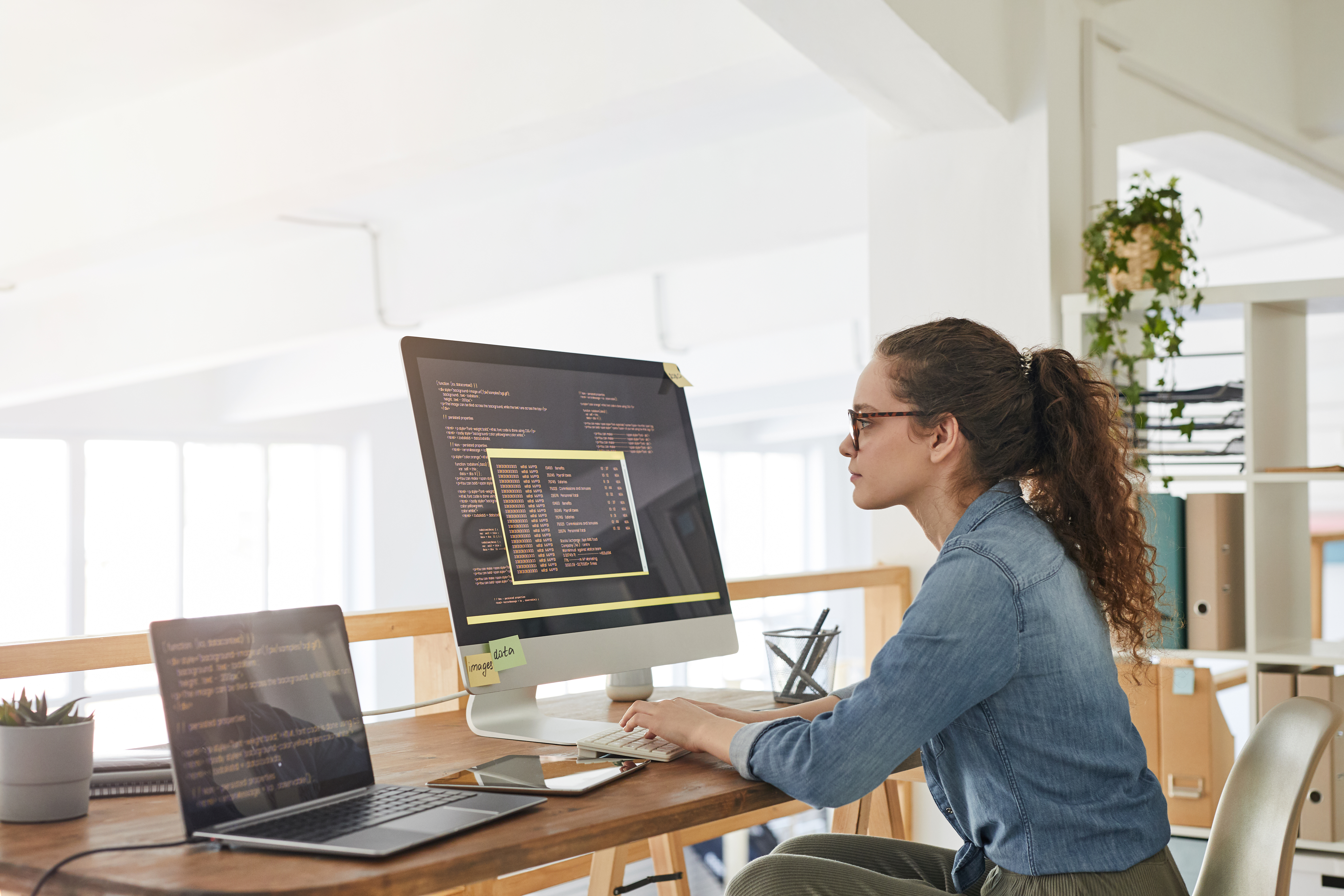 Portrayal of Capella IT data analytics student.